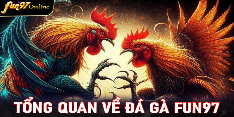 Tổng quan về sảnh cá cược đá gà fun97