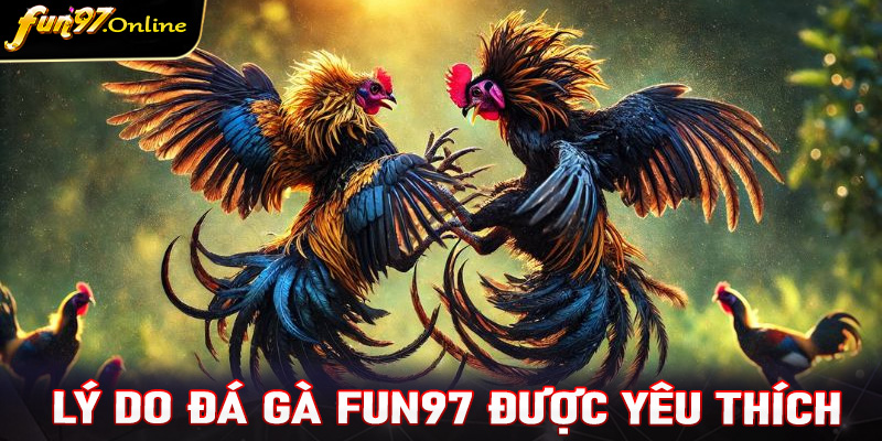 Những ưu thế giúp sảnh cá cược đá gà fun97 được yêu thích